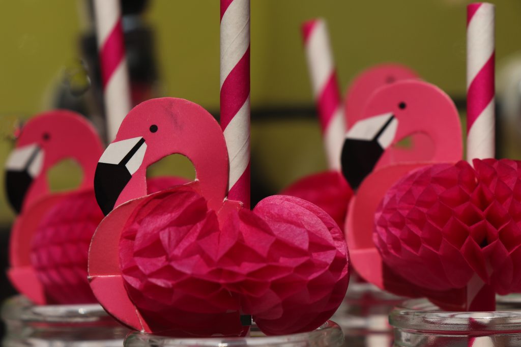 flamingo temalı parti